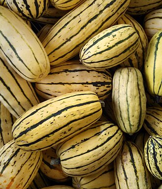 Squash, Delicata, Farm Fresh, Each