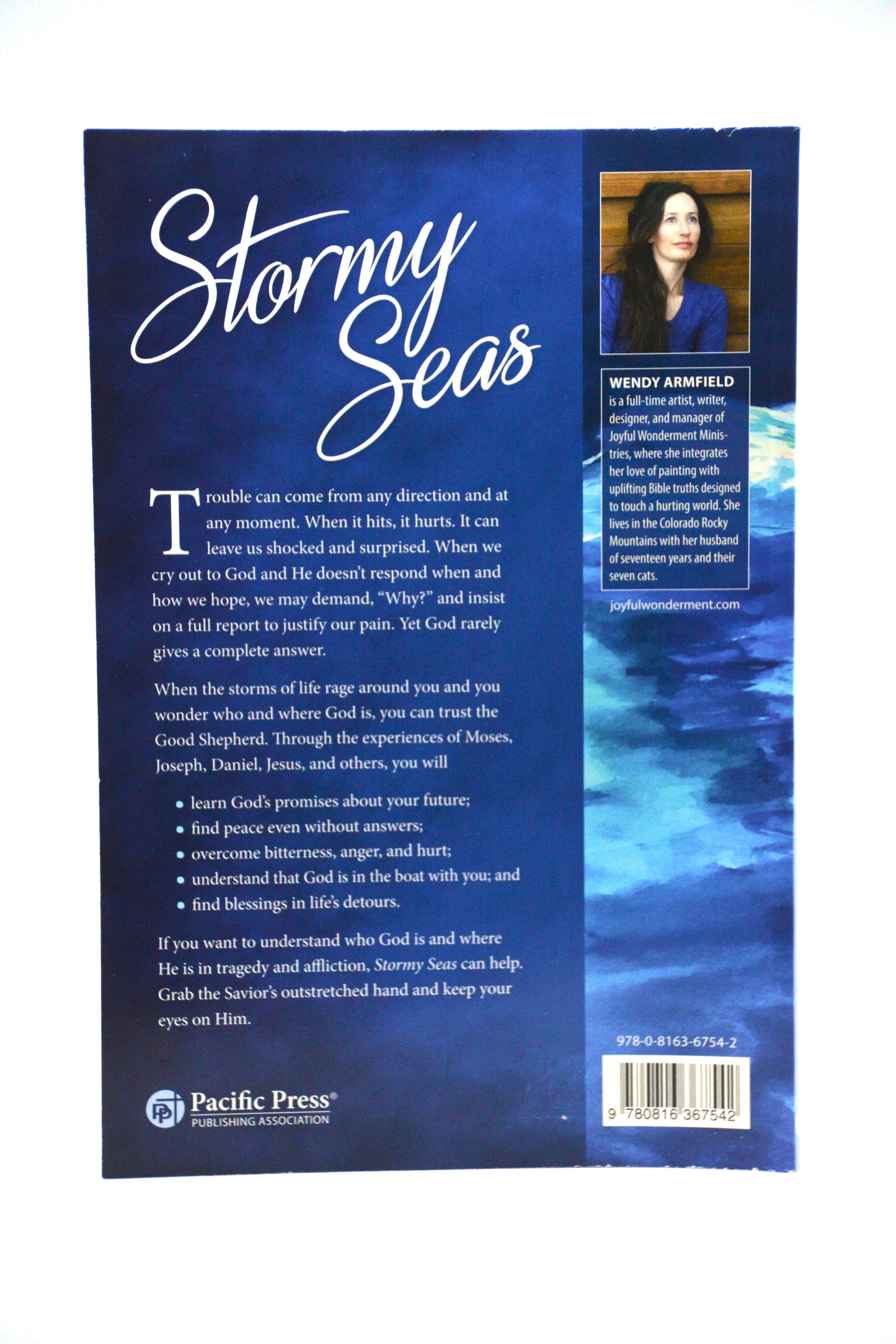 Stormy Seas