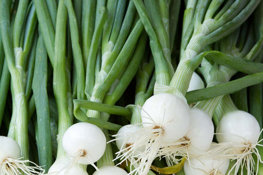 Onions, Spring Small, Farm Fresh, Bundle