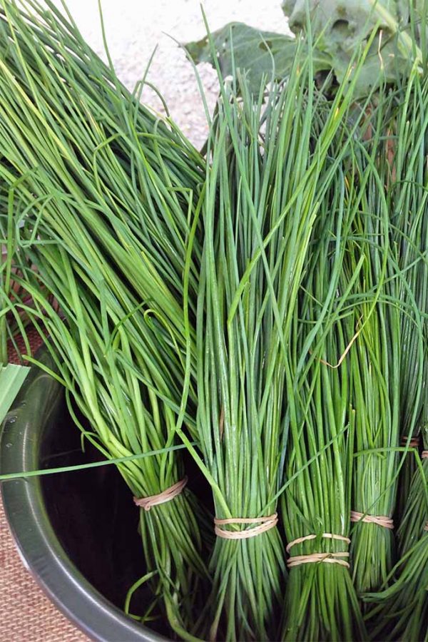Chives, Organic Farm Fresh, Bundle