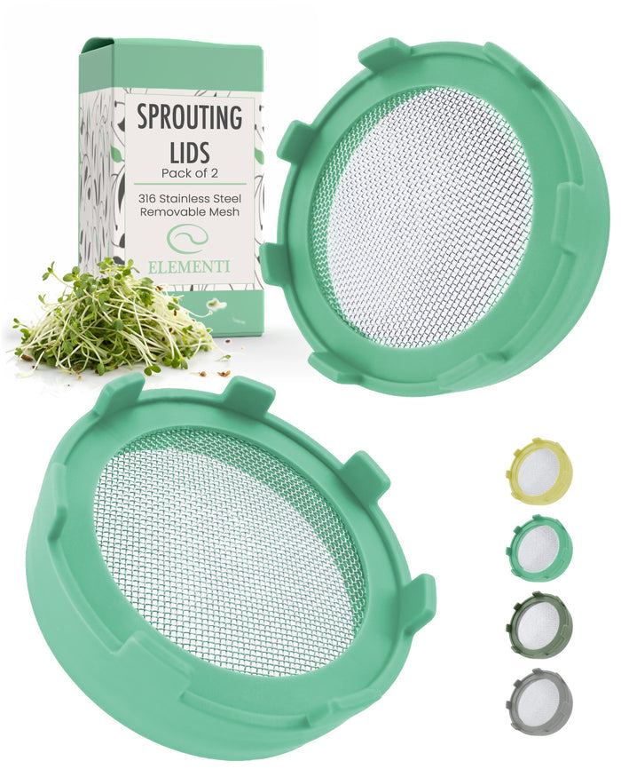 Sprouting Lid, Stainless Steel Screen, Plastic Rim, Widemouthed
