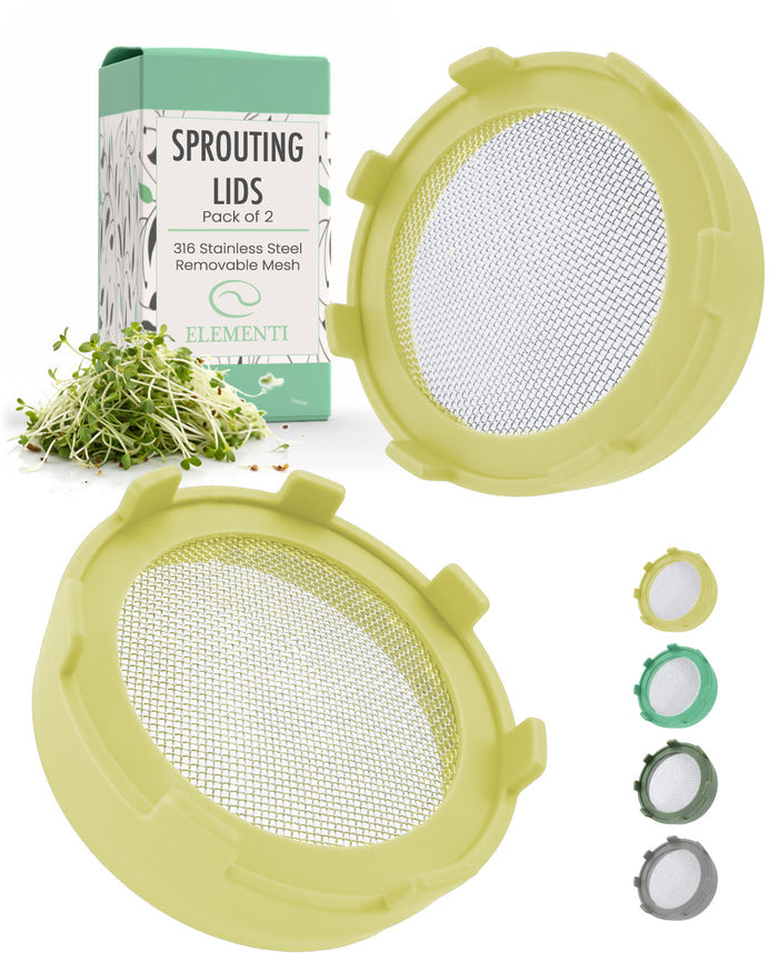 Sprouting Lid, Stainless Steel Screen, Plastic Rim, Widemouthed
