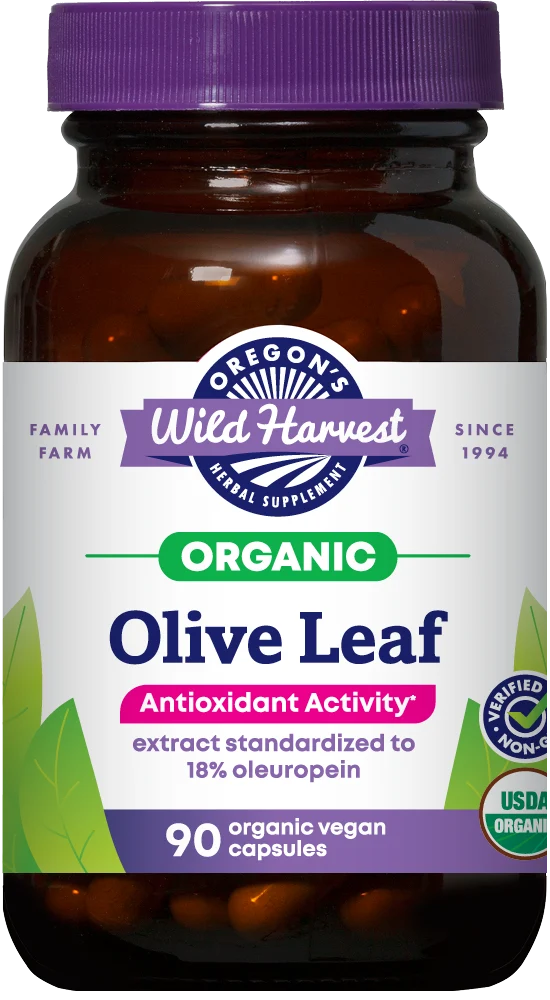 Olive Leaf 90 Capsules