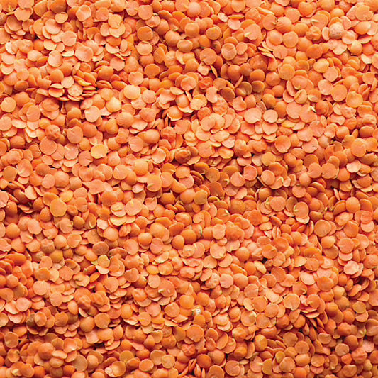 Red Lentils, Split, Organic