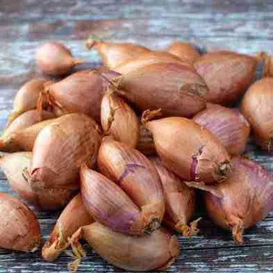 Shallots, Organic Farm Fresh, Each Segment