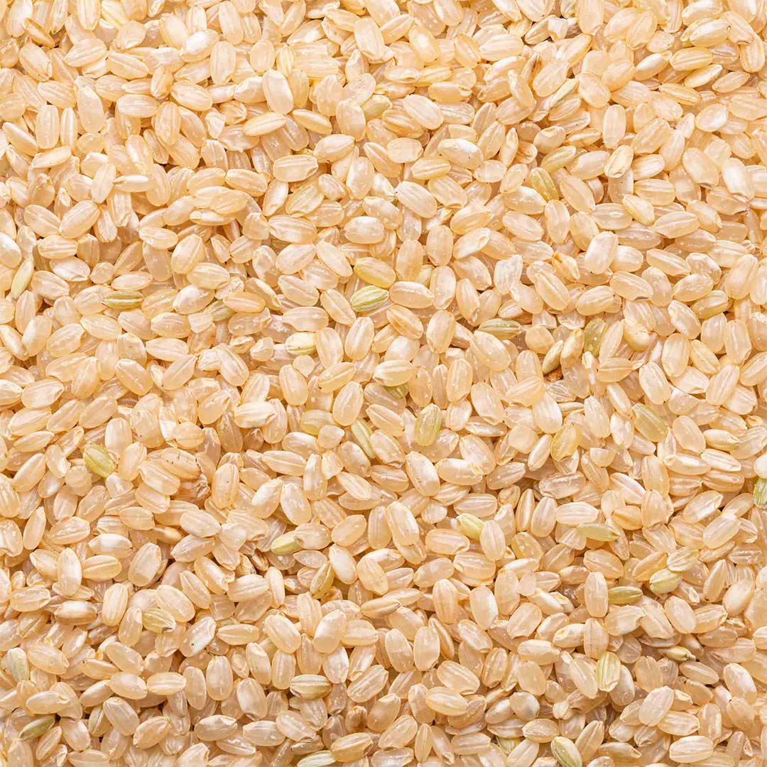 Rice, Short Grain Brown Organic