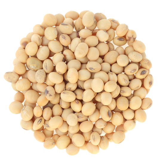 Soy Beans, Dry Organic