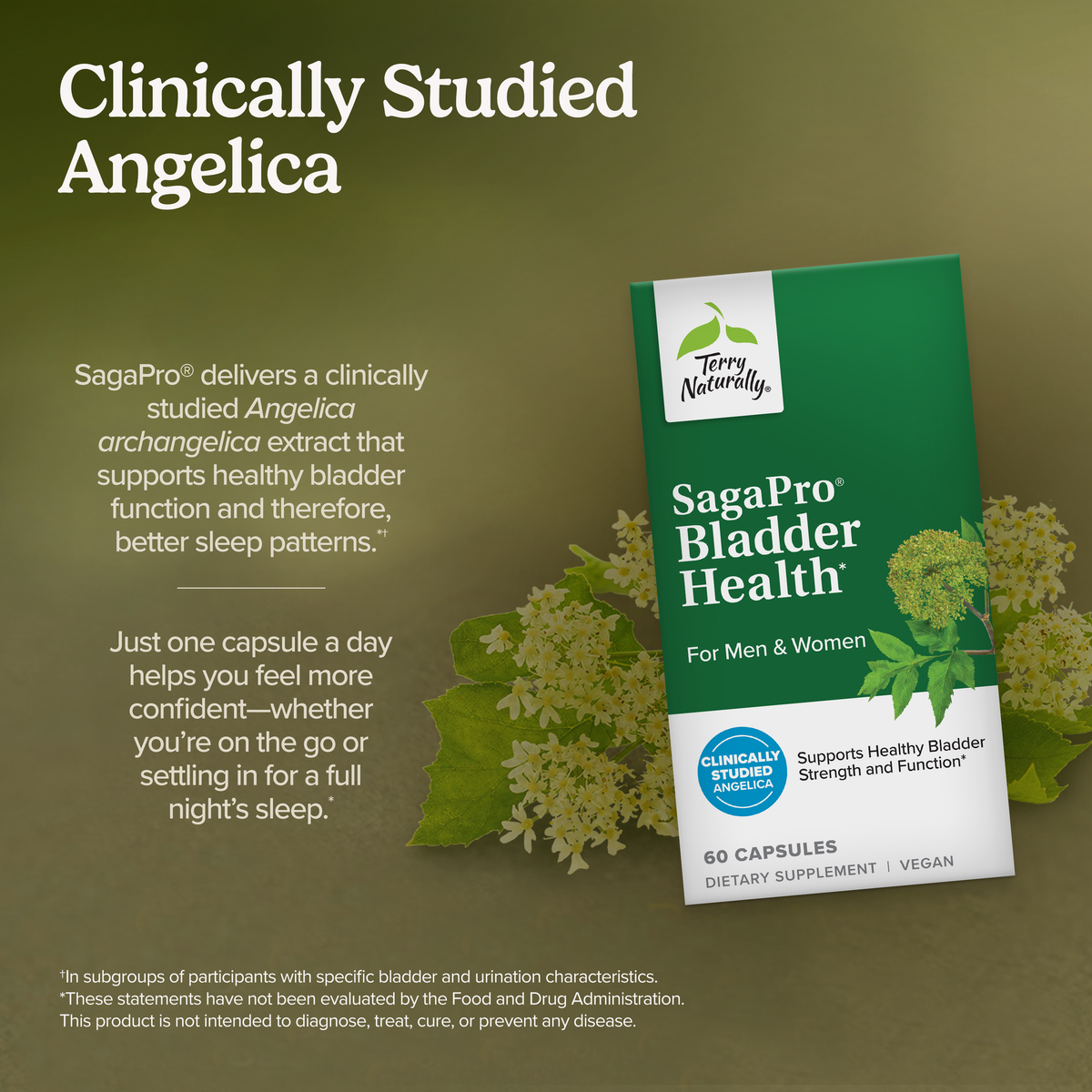 SagaPro Bladder Health 30 capsules