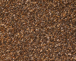 Teff, Whole Grain 24 oz