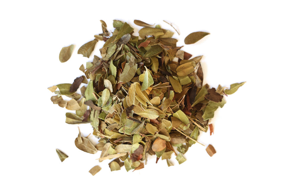 Uva Ursi Leaf C/S, Wildcrafted 1 lb