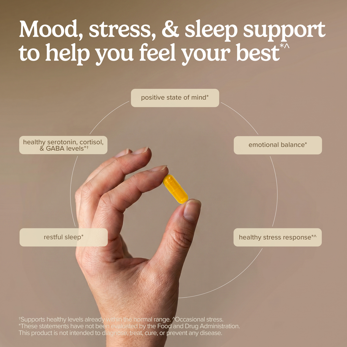 Saffron Lift + Curcumin 60 capsules