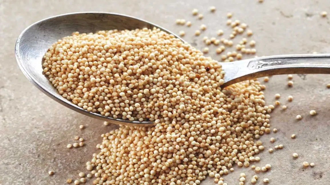 Organic Amaranth
