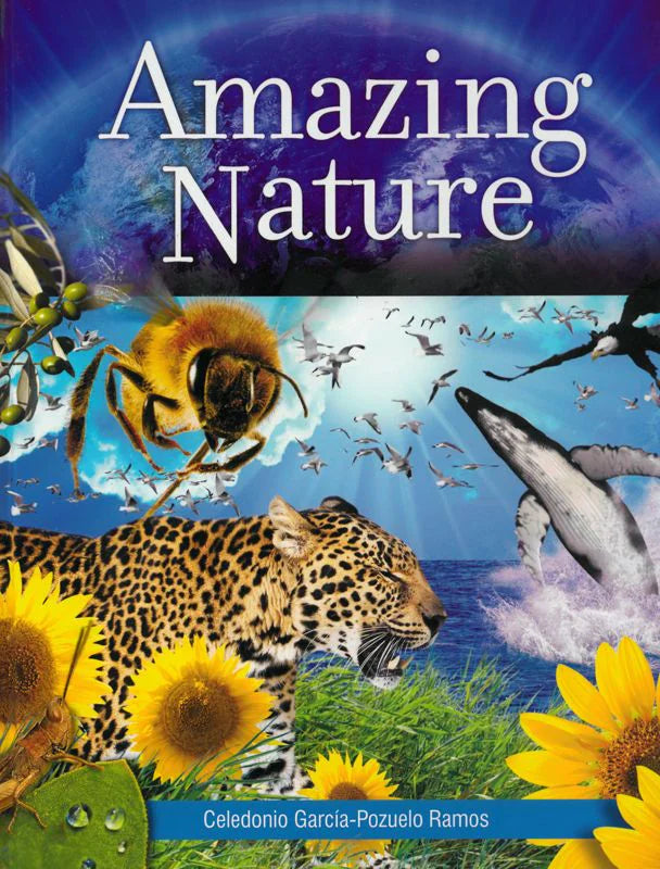 Amazing Nature