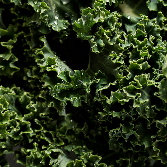Kale, Curly, Organic, Farm Fresh Bunch