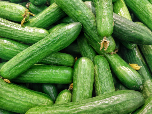 Cucumbers, Slicing, Organic, Farm Fresh