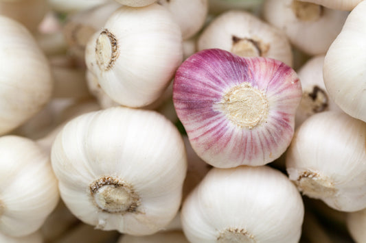 Garlic, Organic Farm Fresh