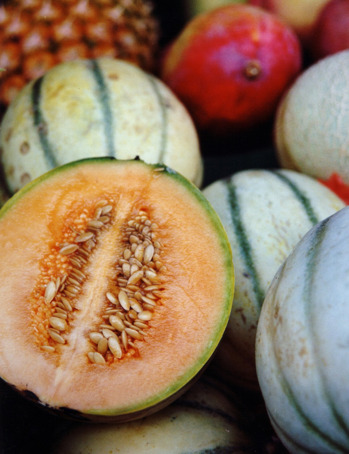 Cantaloupe, Organic, Farm Fresh