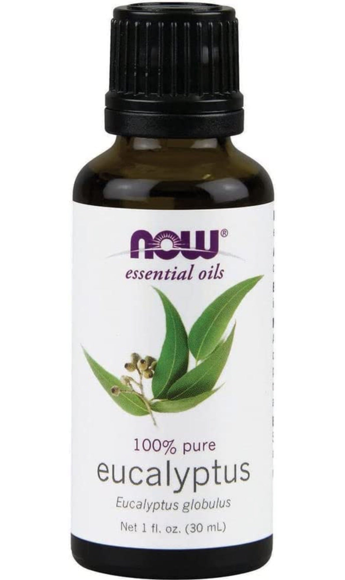 Eucalyptus Oil