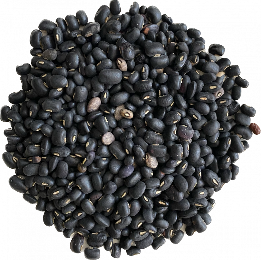Black Beans, Dry Organic