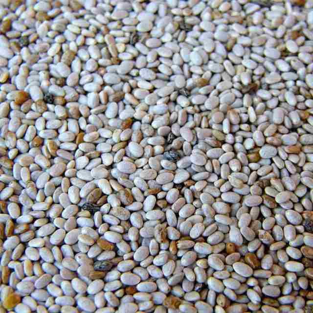 Chia Seeds Organic 1 lb