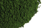 Chlorella Powder, Organic 1 lb