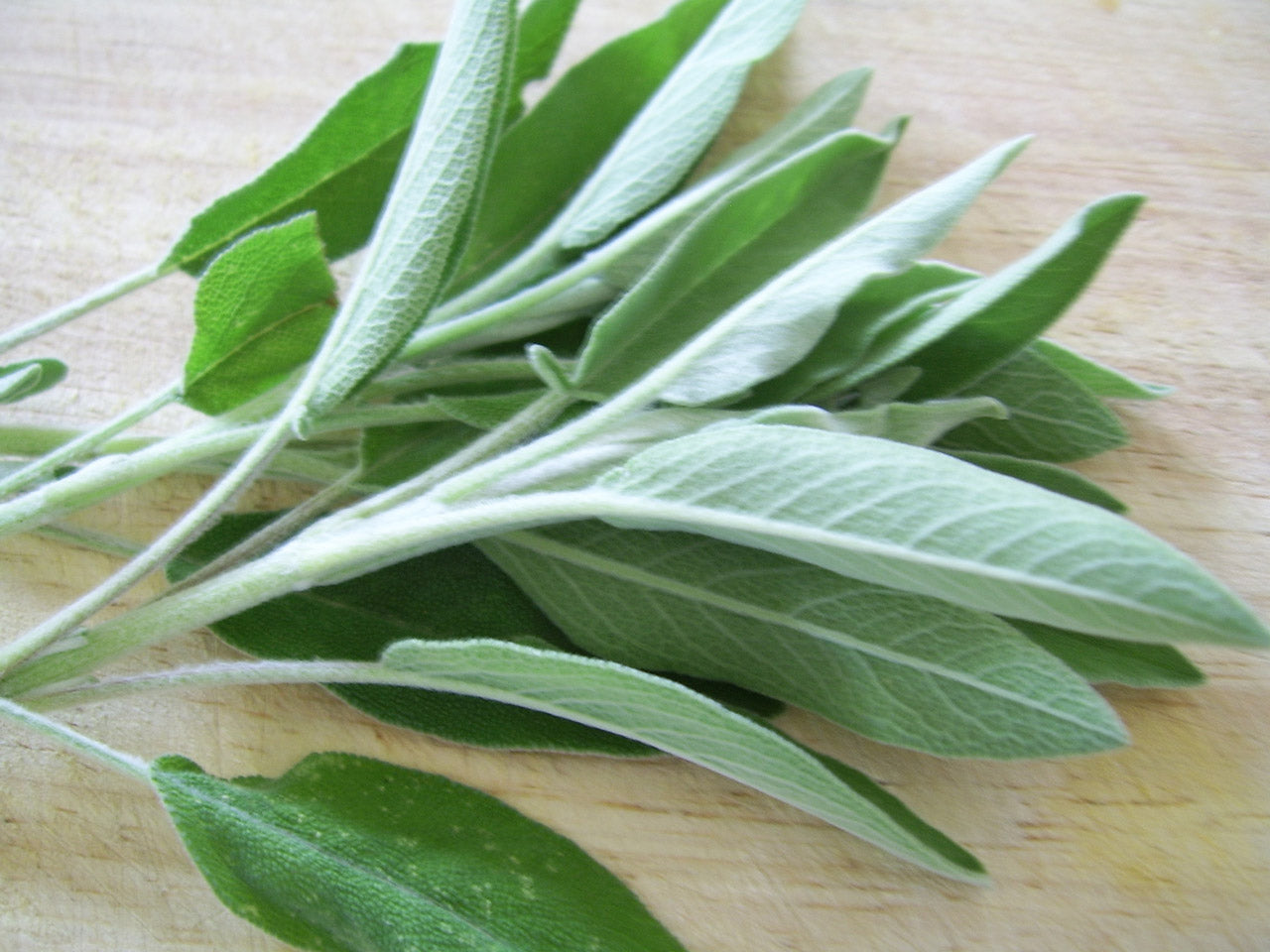 Sage, Organic Farm Fresh, Half Pint